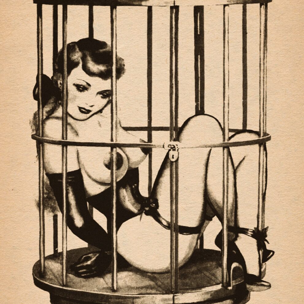 A brief chronicle of BDSM culture