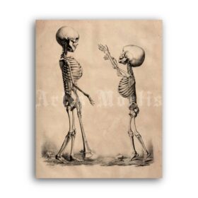 Printable Children skeletons - vintage medical art, anatomy poster - vintage print poster