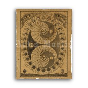 Printable Moon Phases diagram - astrology, lunar, esoteric poster - vintage print poster