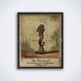 Printable The Mermaid, Human Fish antique oddities and curiosities print - vintage print poster