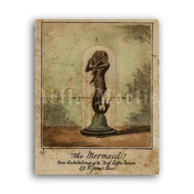 Printable The Mermaid, Human Fish antique oddities and curiosities print - vintage print poster