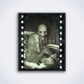 Printable Russian Sleep Experiment - Spazm weird scary monster photo - vintage print poster