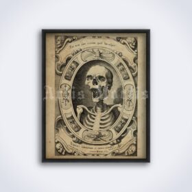 Printable Laughing Skeleton, Vanitas skull - medieval art poster - vintage print poster