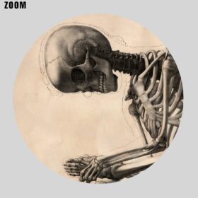 Printable Sitting Skeleton - vintage medical art, anatomy poster - vintage print poster