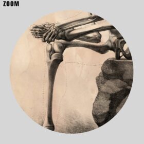 Printable Sitting Skeleton - vintage medical art, anatomy poster - vintage print poster