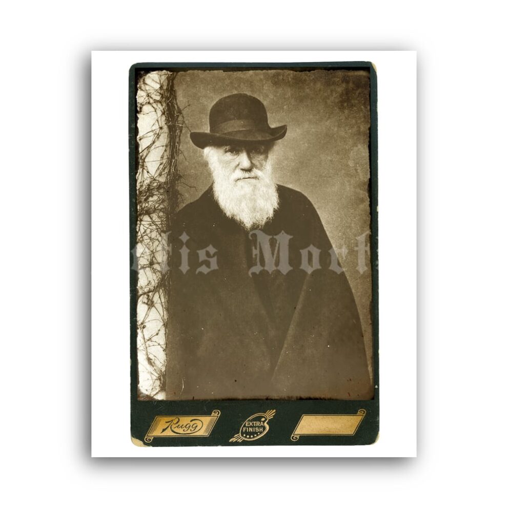Printable Charles Darwin photo portrait antique cabinet card poster - vintage print poster