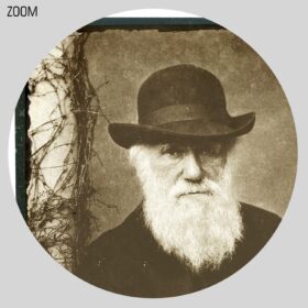 Printable Charles Darwin photo portrait antique cabinet card poster - vintage print poster