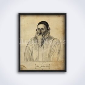 Printable John Dee occultist, alchemist, magus antique engraving portrait - vintage print poster