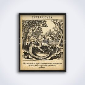 Printable Ouroboros, Serpent eating its tail - alchemical medieval art - vintage print poster