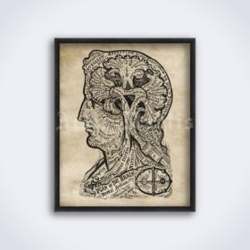 Printable Plan of the Brain - Book of Life, Dr. Sivartha, phrenology poster - vintage print poster