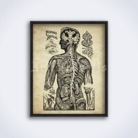 Printable Nervous System Diagram - Book of Life, Dr. Sivartha poster - vintage print poster