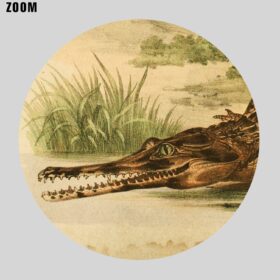 Printable African slender-snouted crocodile - zoology illustration poster - vintage print poster