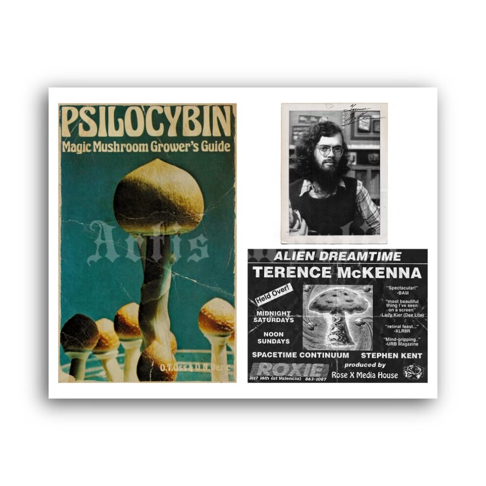 Printable Terence McKenna, Psilocybin book vintage memorabilia poster - vintage print poster