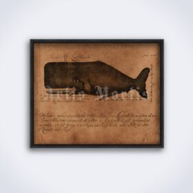 Printable Giant Whale medieval bestiary, natural history art illustration - vintage print poster