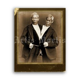 Printable Chang and Eng, Siamese Twins - vintage freak show, circus - vintage print poster