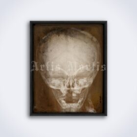 Printable X-Ray Human child skull - vintage medical radiology poster - vintage print poster