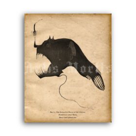 Printable Sea Devil weird scary monster fish nautical illustration poster - vintage print poster