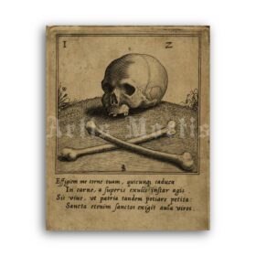 Printable Skull and bones, symbol of death, memento mori medieval art - vintage print poster