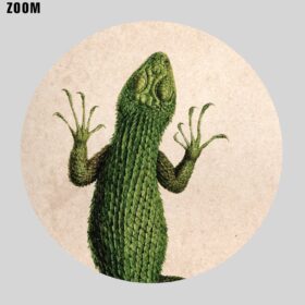 Printable Spiny Lizard illustration, reptilian - vintage zoology art poster - vintage print poster