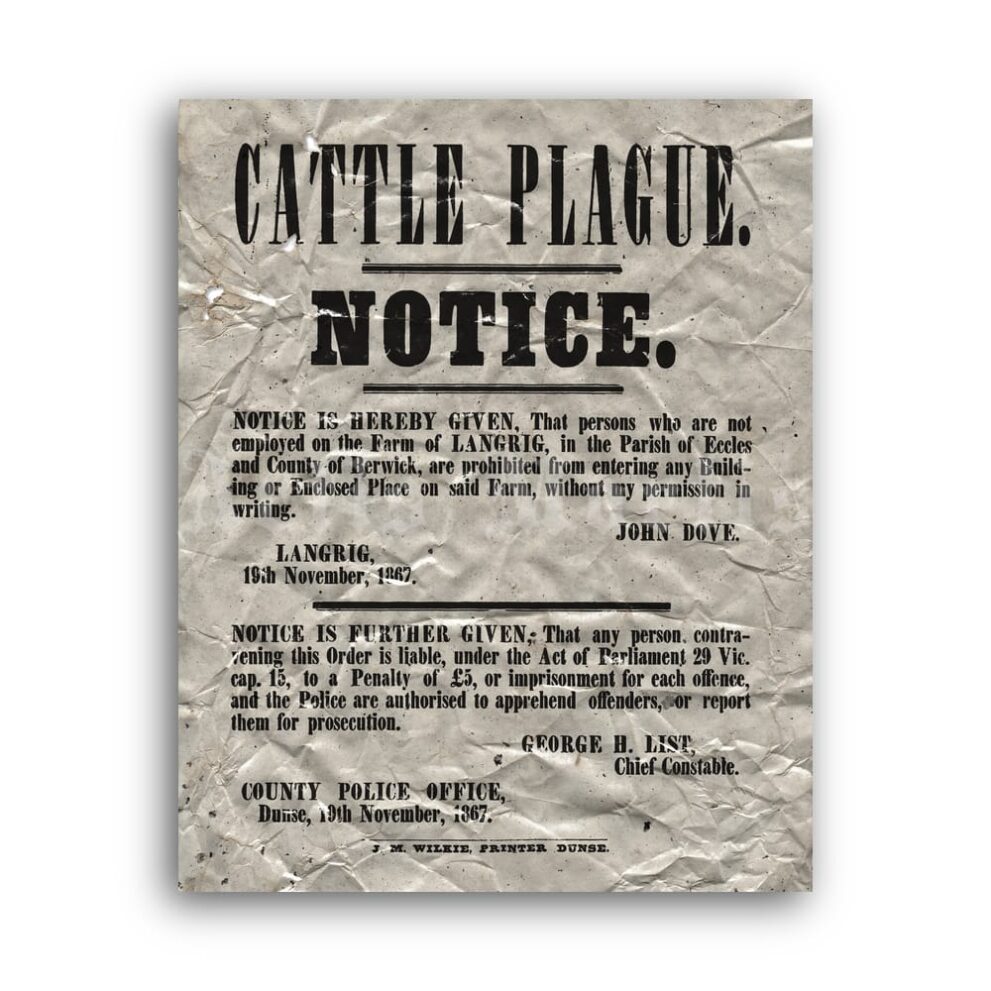Printable Cattle Plague Notice vintage medical broadside, epidemic sign - vintage print poster