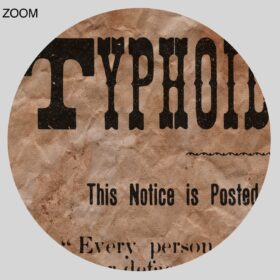 Printable Typhoid Fever - vintage medical broadside, virus pandemic sign - vintage print poster