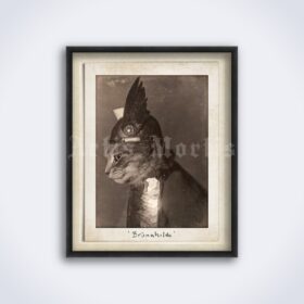 Printable Cat Viking in warrior helmet - Brunnhilde - vintage photo - vintage print poster