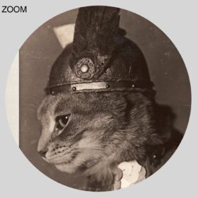 Printable Cat Viking in warrior helmet - Brunnhilde - vintage photo - vintage print poster