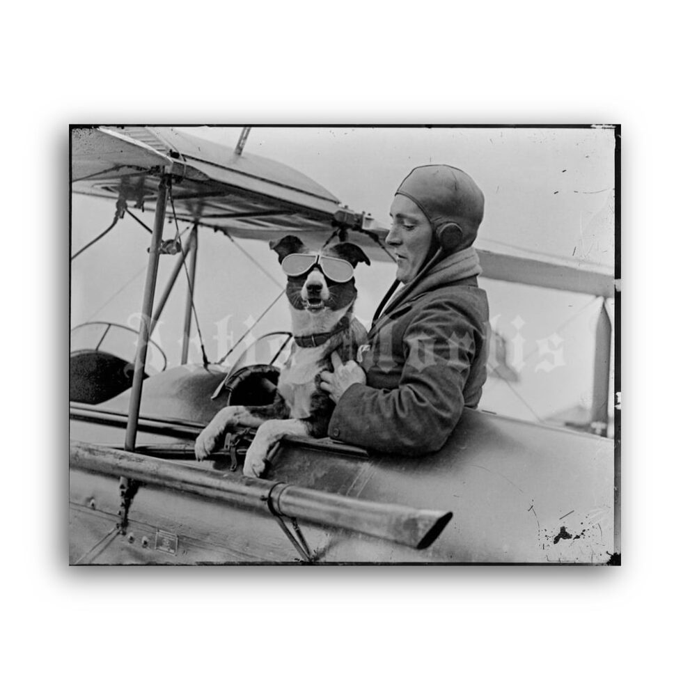 Printable Dog pilot, aviator - vintage photo, airplane, aviation, pet print - vintage print poster