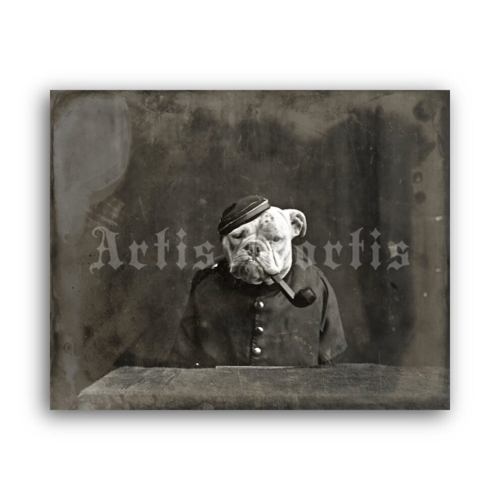 Printable Smoking dog, English Bulldog with pipe - vintage photo - vintage print poster