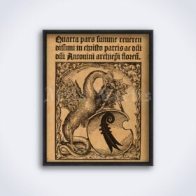 Printable Basilisk of Basel - medieval bestiary art, rooster dragon print - vintage print poster