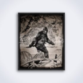 Printable Bigfoot FBI footage, vintage photo - sasquatch photography - vintage print poster