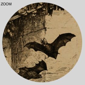 Printable Bats flying around the bells - vintage zoology art poster - vintage print poster