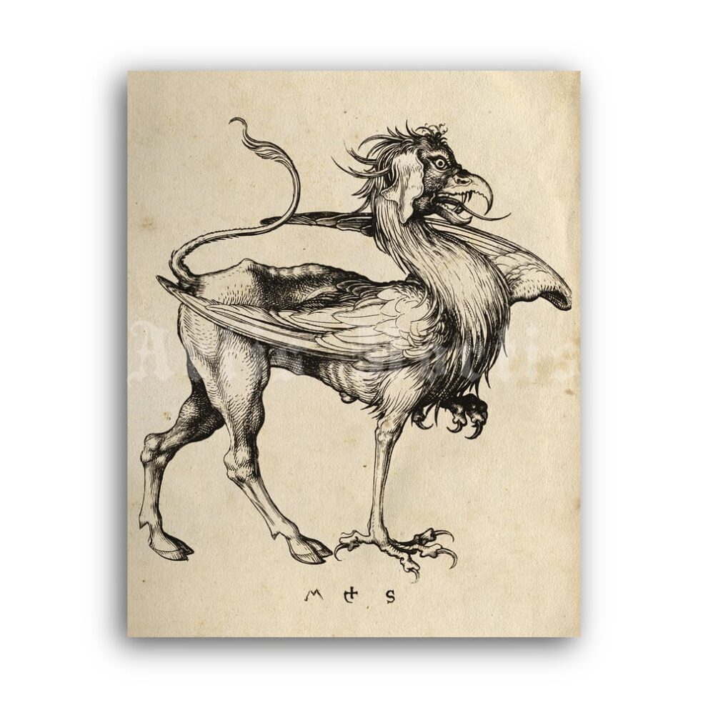 Printable Griffin - medieval bestiary art, fantasy, monster, beast print - vintage print poster