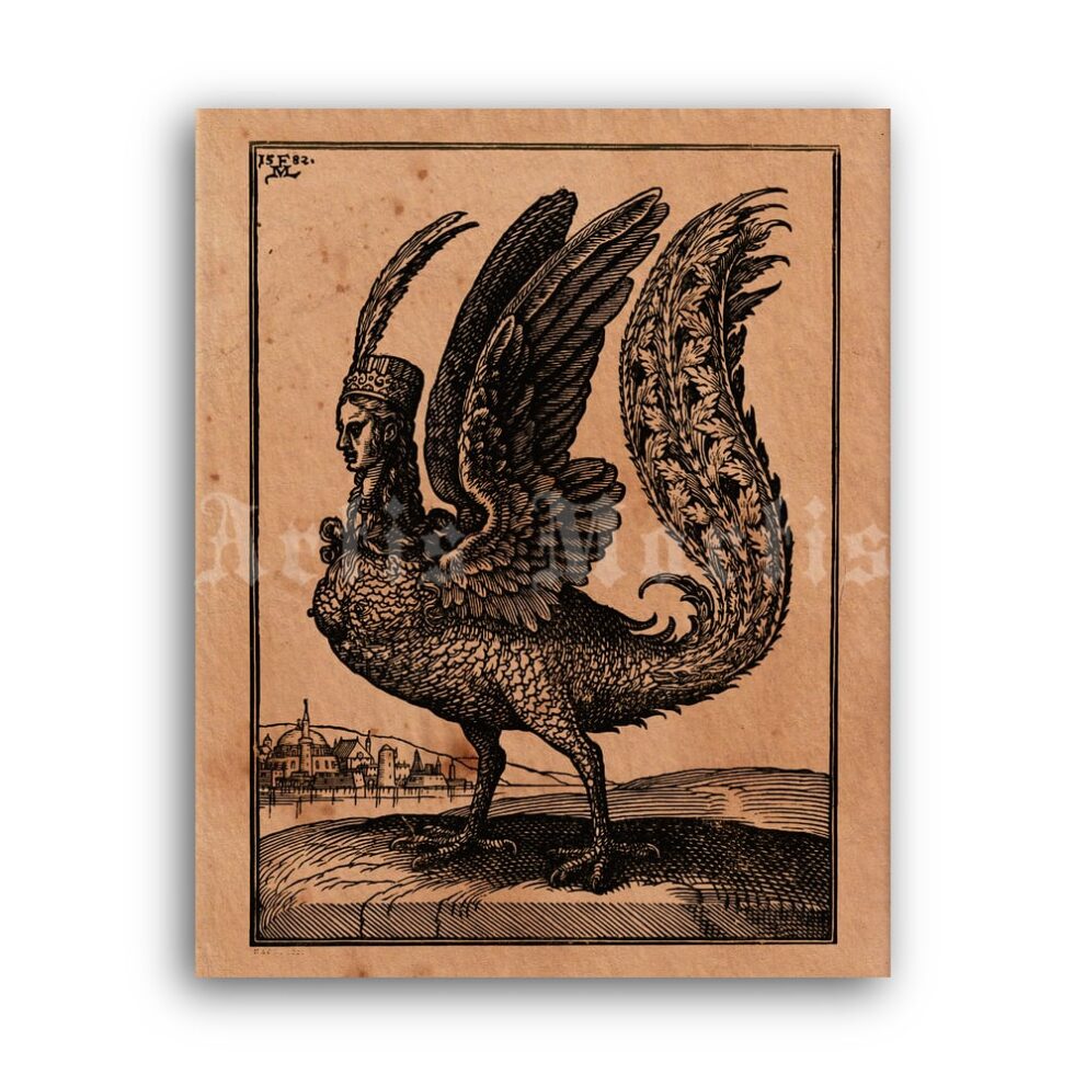 Printable Harpy, bird of Hell - medieval art, fantasy, dragon, mythology - vintage print poster