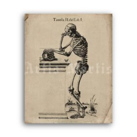 Printable Thinking and sad human skeleton – anatomy, medieval print - vintage print poster