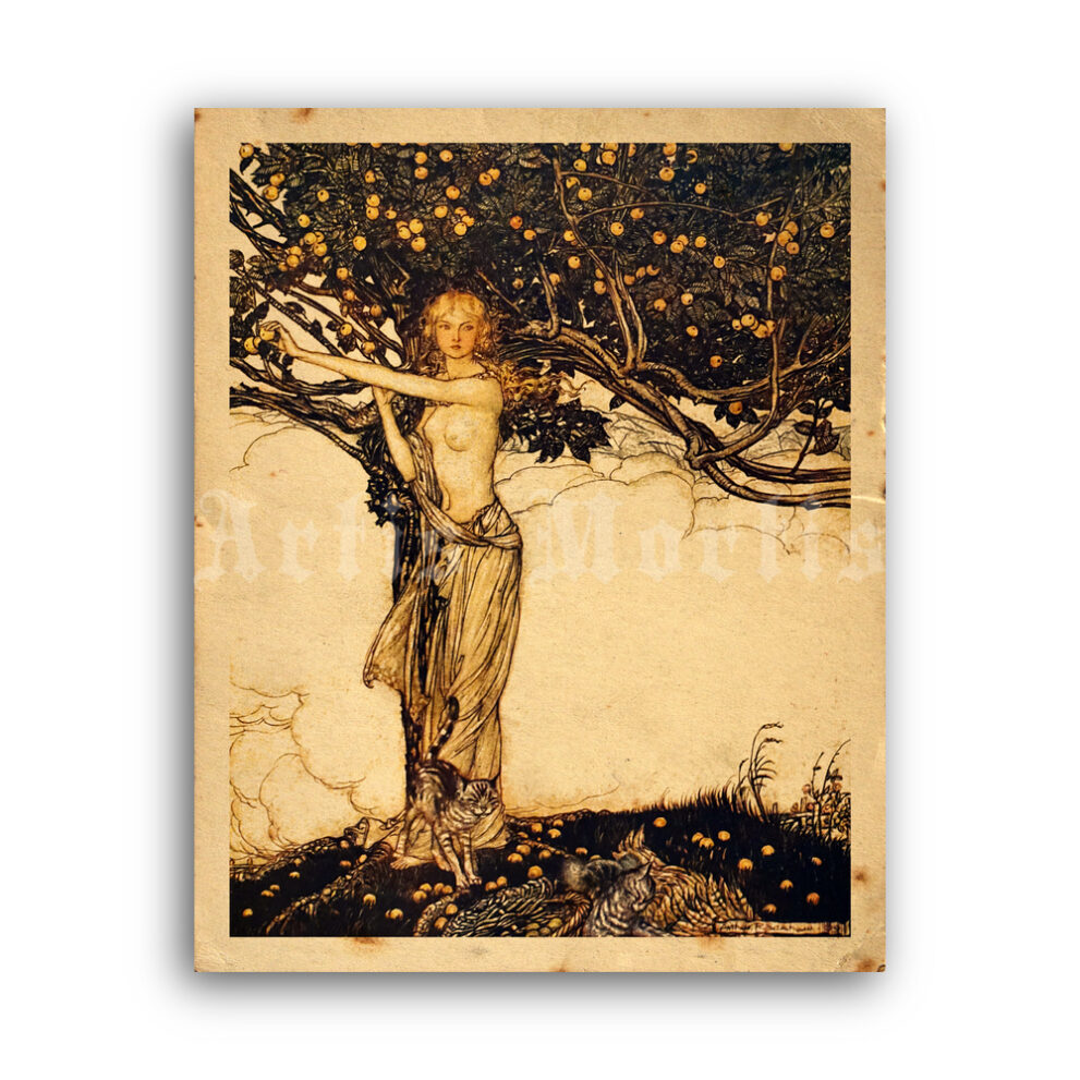 Printable Idun goddess of youth and apple tree - art by Arthur Rackham - vintage print poster