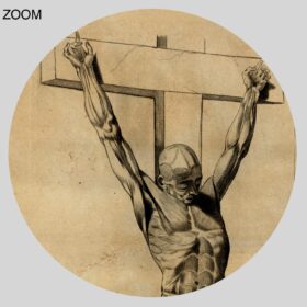 Printable Crucified human body, anatomy, vintage medical art print - vintage print poster