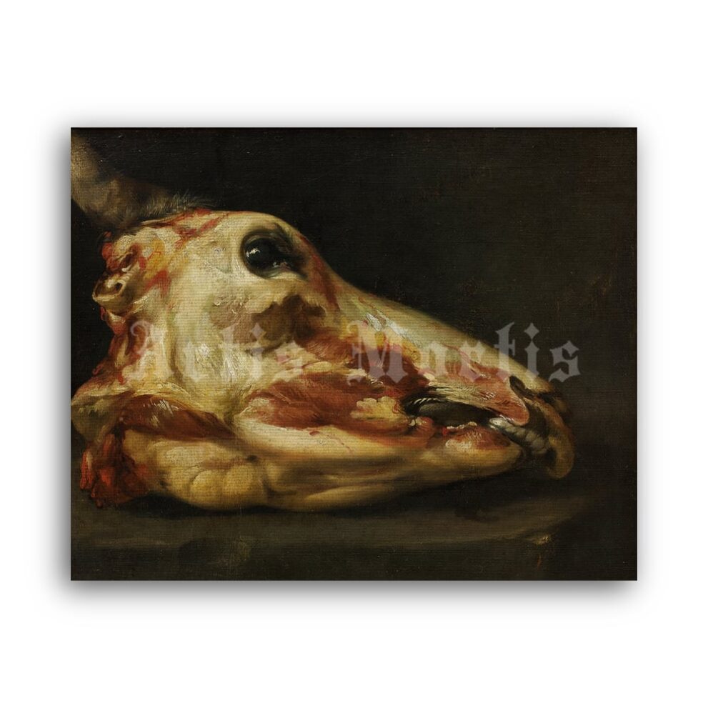 Printable Skinned Head of a Young Bull - painting by Felice Boselli - vintage print poster