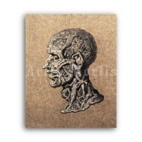 Printable The head of a man composed of writhing figures art print - vintage print poster
