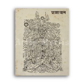 Printable Nadi map, chakra, astral, subtle body diagram, yoga art print - vintage print poster