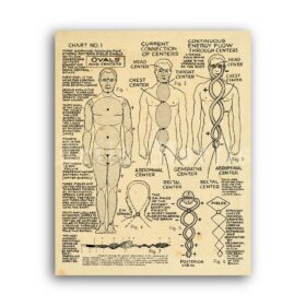 Printable Polarity therapy diagram, alternative medicine print, poster - vintage print poster