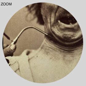 Printable Electrophysiology experiment photo by Adrien Tournachon - vintage print poster