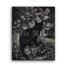 Printable Black Cat - antique 1920s lithography by Lionel Lindsay - vintage print poster