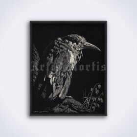 Printable Raven bird - antique 1920s lithography by Lionel Lindsay - vintage print poster