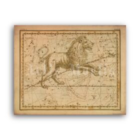 Printable Leo zodiacal constellation, astronomy, zodiac sign print - vintage print poster