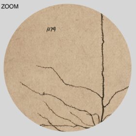 Printable Pyramidal Neuron, brain cell drawing by Santiago Ramon y Cajal - vintage print poster