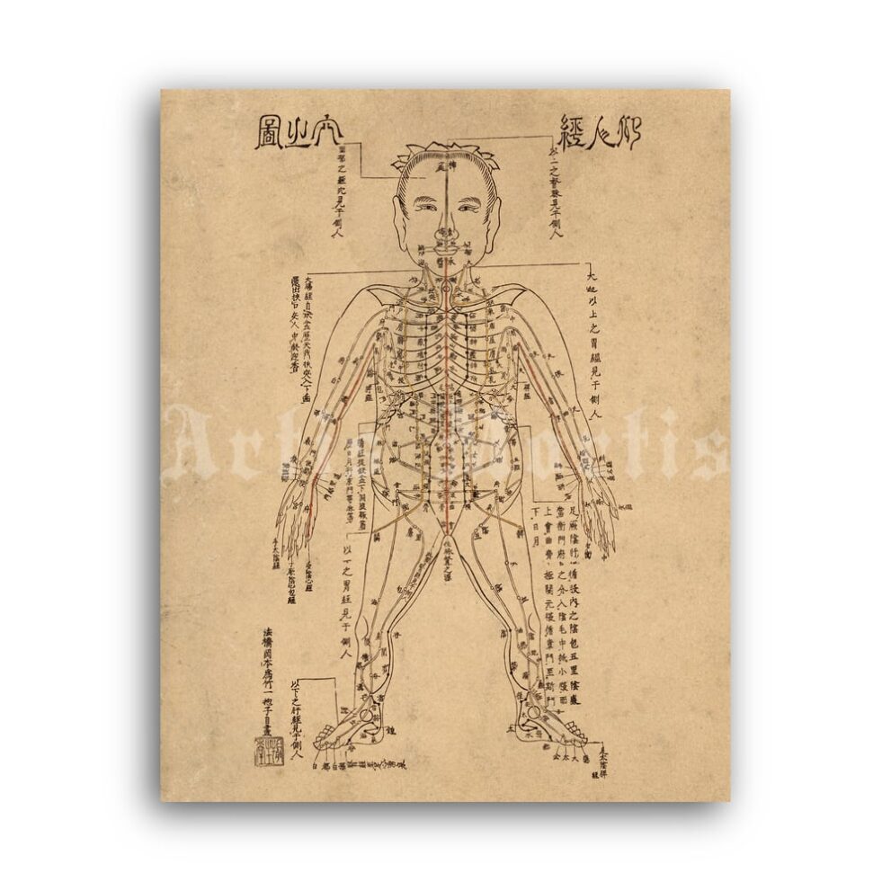 Printable Acupuncture points diagram, antique Chinese medicine print - vintage print poster