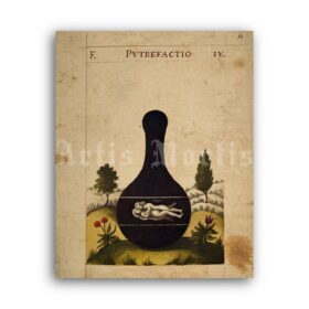 Printable Dorum Dei plate IV Putrefaction, four elements, alchemical art - vintage print poster