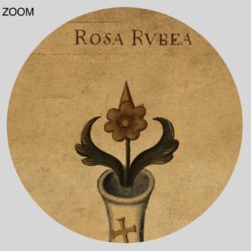 Printable Dorum Dei plate XIL Rosa Rubea, four elements, alchemical art - vintage print poster