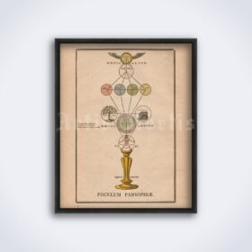Printable Tree of Pansophia diagram, microcosm, macrocosm, alchemy art - vintage print poster